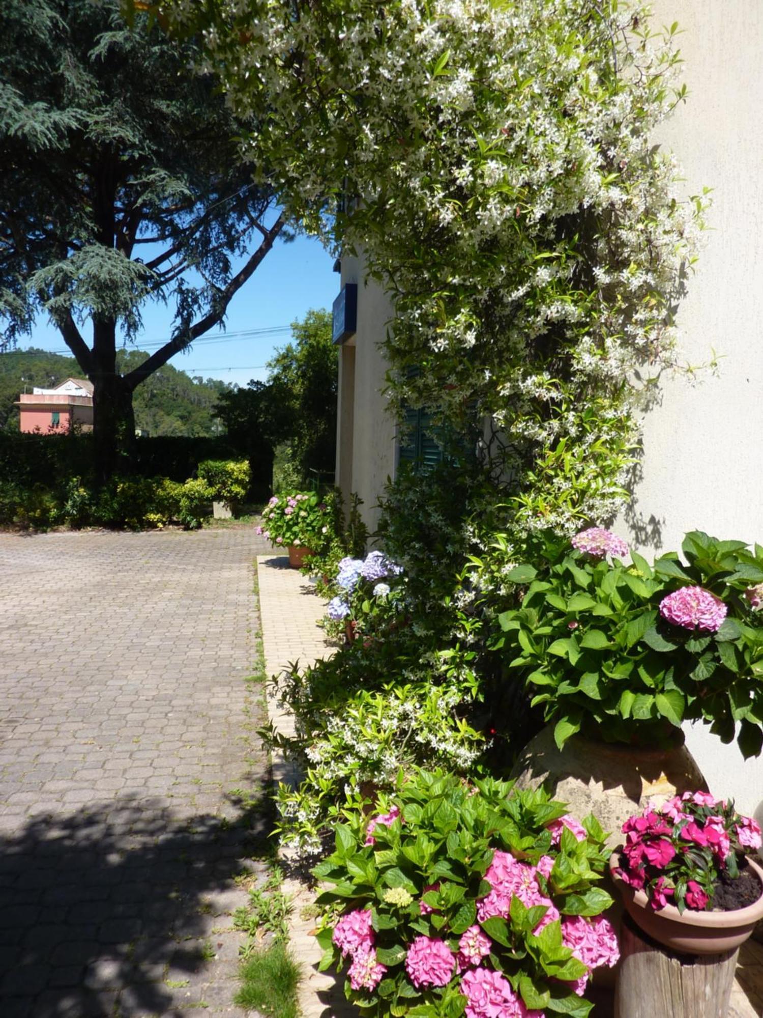 Hotel Silvia Framura - Cinque Terre ภายนอก รูปภาพ