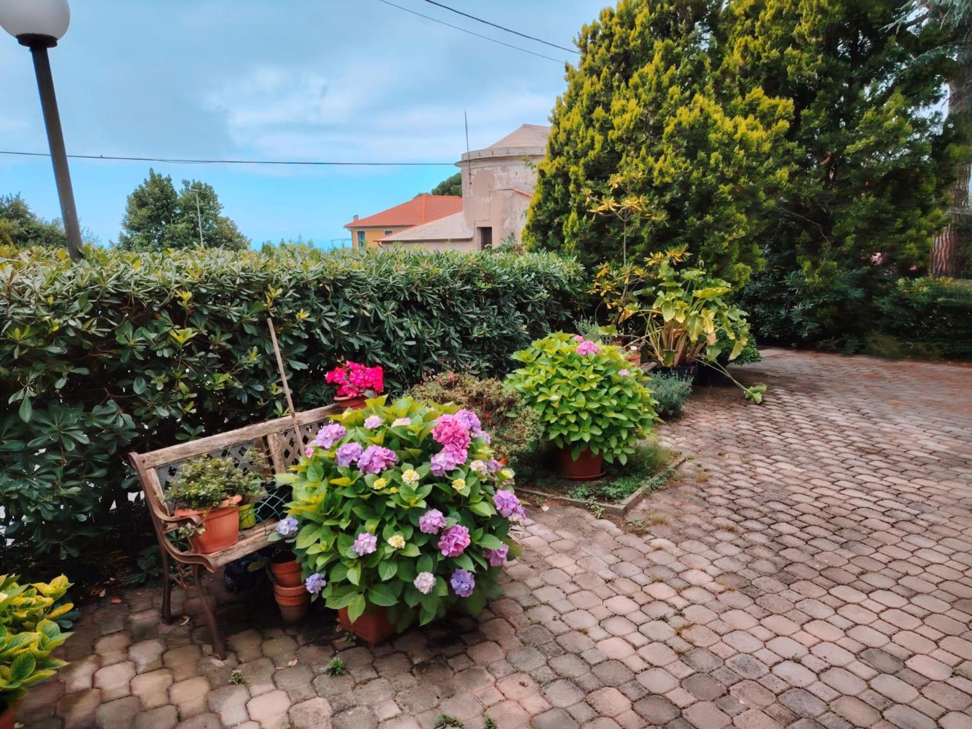 Hotel Silvia Framura - Cinque Terre ภายนอก รูปภาพ
