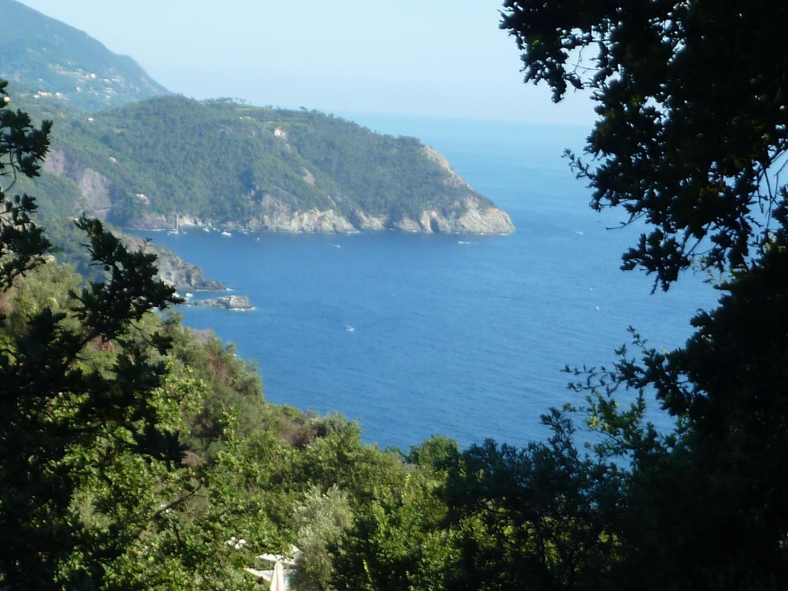 Hotel Silvia Framura - Cinque Terre ภายนอก รูปภาพ